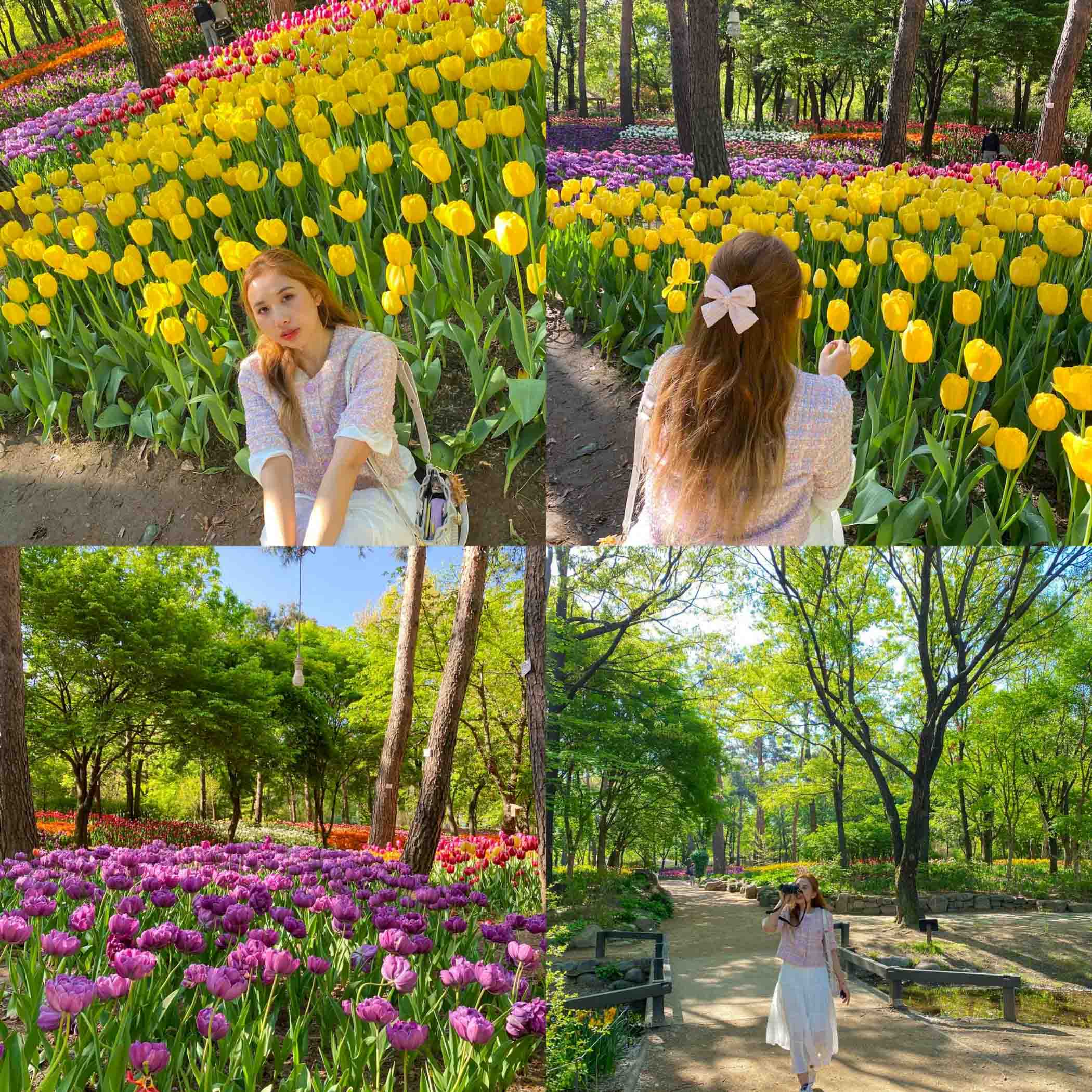 Seoul forest บอกเลยว่าที่นี่คือที่สุดแห่งความสวย สวนสาธารณะที่อยู่กลางเมืองเกาหลี ใกล้สถานี seoul forest
